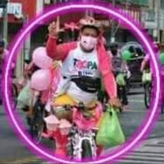 ROMIL ORCULLO VLOG net worth