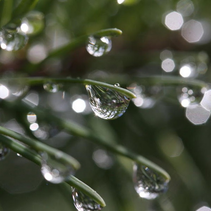 Healing Sleeping - ASMR