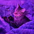 p7FIlpTi5J4-channel-avatar-Holden Hour