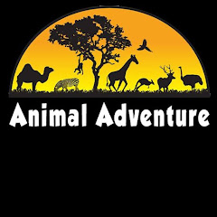 Animal Adventure Park Avatar