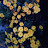 @m00ni-y3v