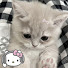 OaVjhtO9dv0-channel-avatar-HuffleEdits