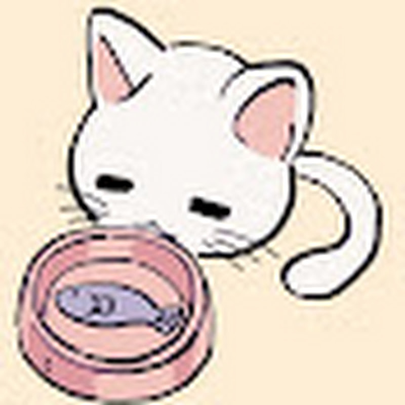 Hire daqcat — Minecraft Content YouTube creator for sponsorships