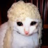 W7sj7K6jk-M-channel-avatar-Cheap Noodle