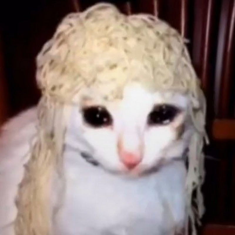 Cheap Noodle