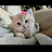 @AsmaaElmohtarm