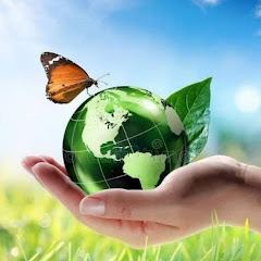 علوم الطبيعة والحياة للتعليم المتوسط