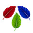 GqWVvKxl358-channel-avatar-Natureza RGB