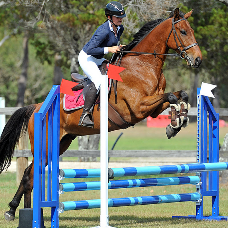 Eventing_equestrian