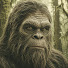 70G0J-k7zWw-channel-avatar-Sasquatch Habituation