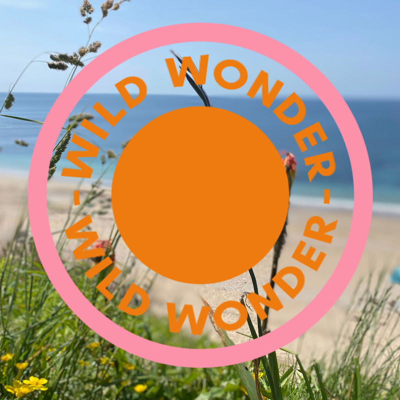 Wild Wonder 