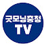 굿모닝충청TV