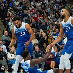Timberwolves Defensive Highlights