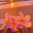 @BeautyBracelets-16