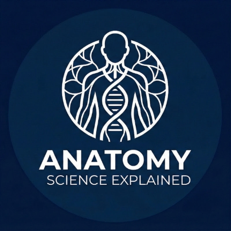 Anatomy Science Explained