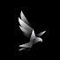 ONUR6sxkkjM-channel-avatar-Night Bird Production