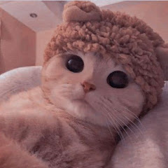 ミ〔𝐵 x b y ♡™