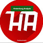 Hindenburg Analysis logo