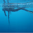 uv-C2kz0z3E-channel-avatar-Spearfishing in Greece