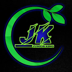 Junior King net worth