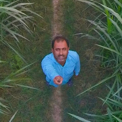 Rahat Amir net worth