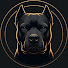 XnHvQRV8W4E-channel-avatar-Animal Rank