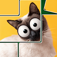 Jigpic Solitaire icon