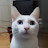@쿨사노바