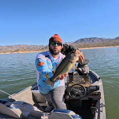 Arizona Bass Tracks