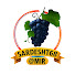 9dfhurHtNvY-channel-avatar-SARDESHT68
