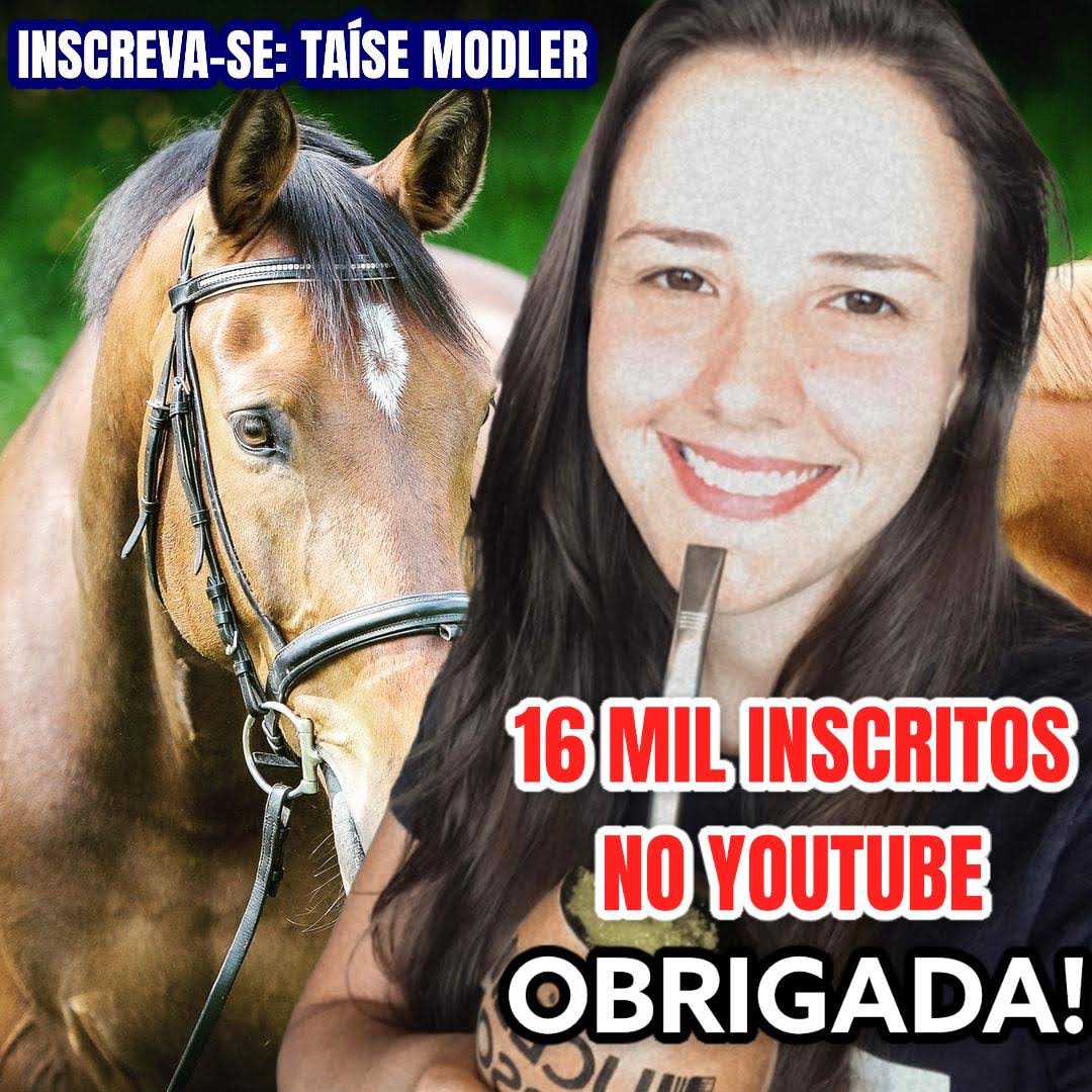 Post from Taíse Modler
