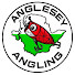 NvZ1ht5UEUg-channel-avatar-Anglesey Angling