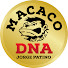 upYgJKbWBmE-channel-avatar-Macaco DNA