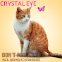 Crystal Eye logo