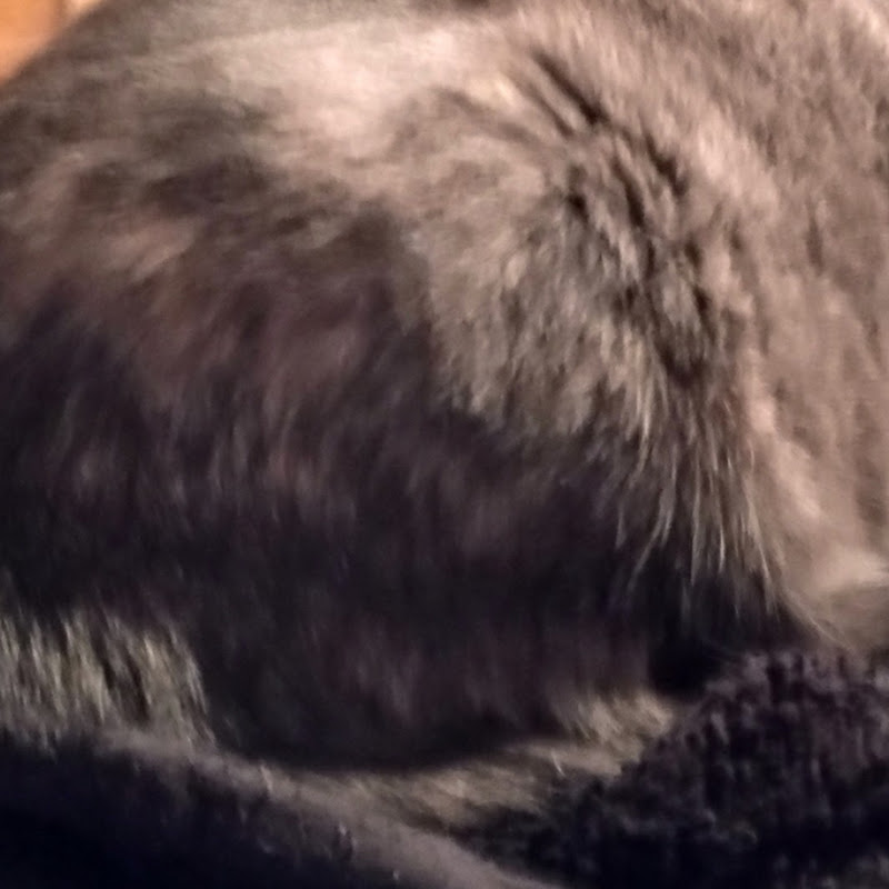 Hire JAY — Simulation Games (Flight, Farming, etc.) YouTube creator for sponsorships