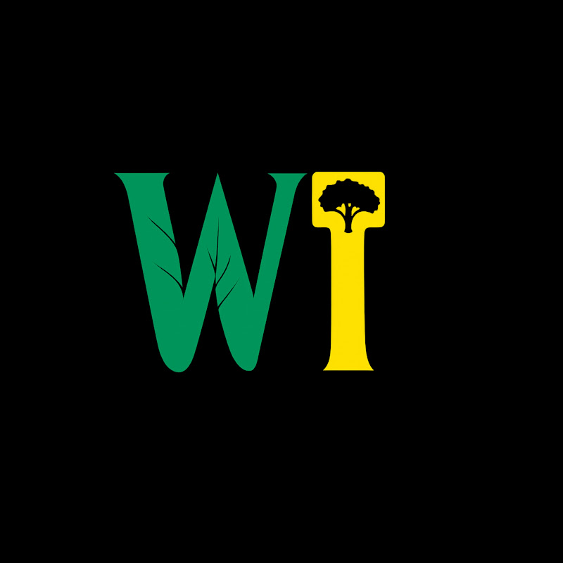 World info