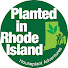 Planted in Rhode Island