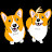 @corgibro