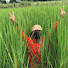 EKCekLOcKDg-channel-avatar-หากิน ริมคันนา