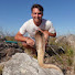 xwBmMY8jbyY-channel-avatar-Kevin Ulett - Snake Handler