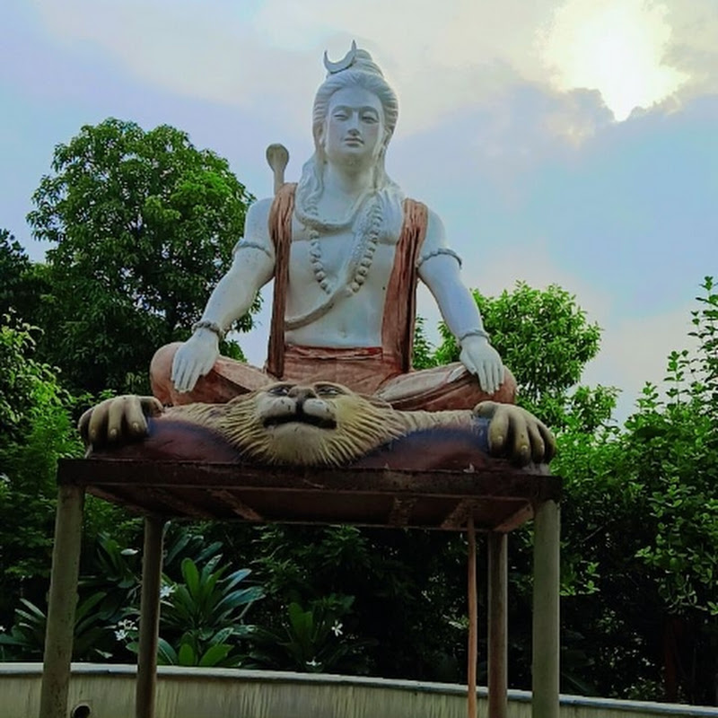 Hire Aashish_rox — Entertainment YouTube creator for sponsorships