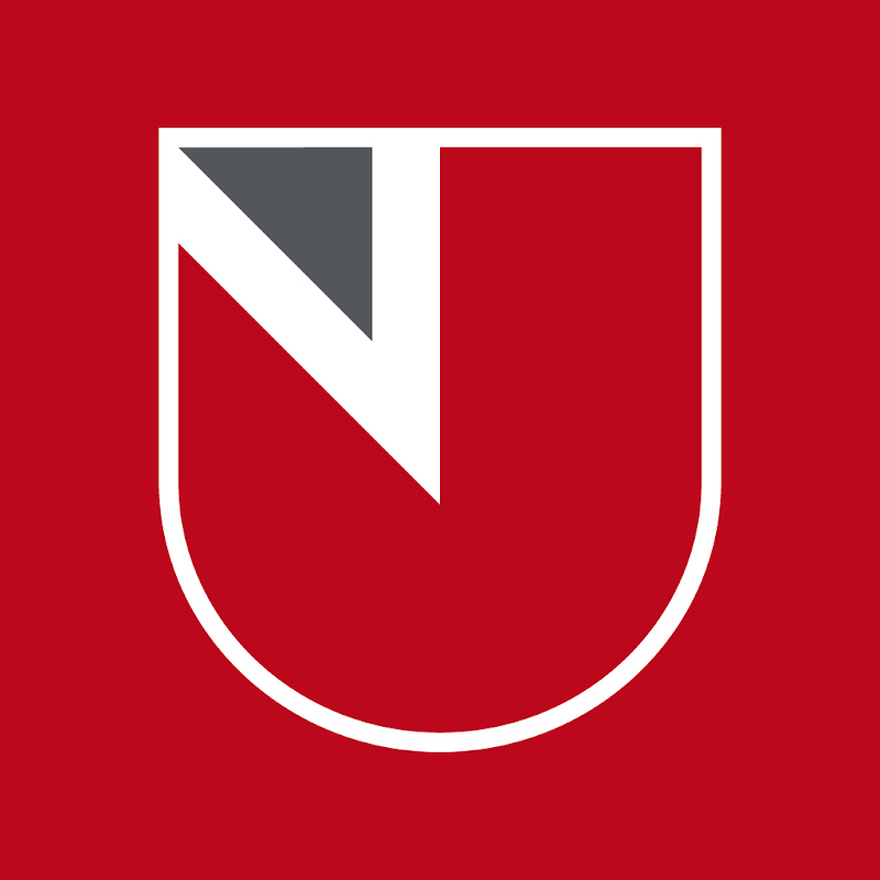UNIC - Institute For the Future