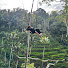 xTp3D4yQk8Q-channel-avatar-Miss Luani