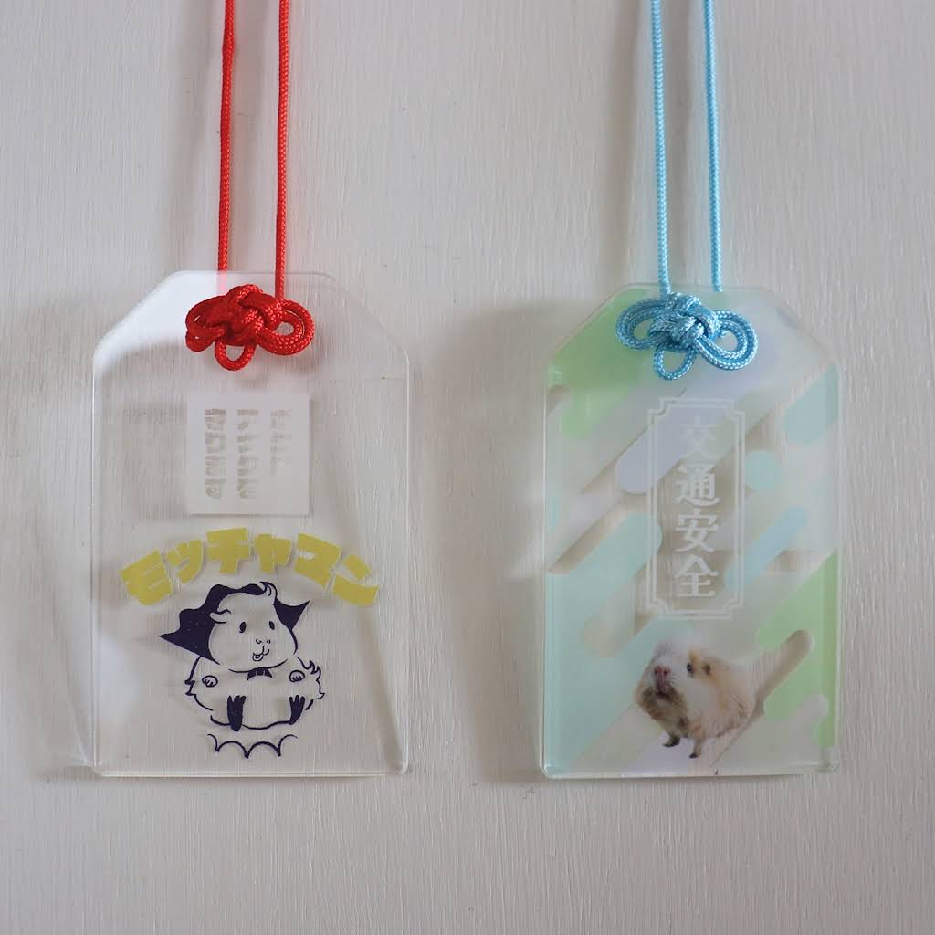 モルモットの家族 もるもるも - YouTube