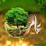q4FKwt15cRU-channel-avatar-عامر الجزائري