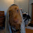 @andrewbowden4383 Avatar