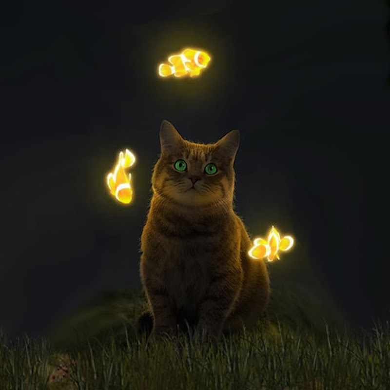 Sound Sanctuary for Pets