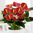 1J65oNMhzsE-channel-avatar-Garden Care Tips