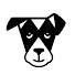 u_WBAmfCDbA-channel-avatar-The Dogist