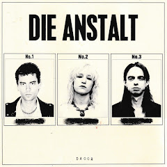 Die Anstalt - Topic
